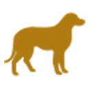 Animaux