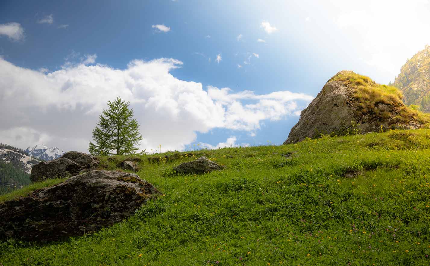 valgrisenche appartamenti in affitto turistico